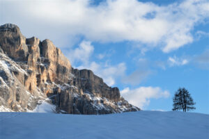 Lange-Thomas_DSC_1267