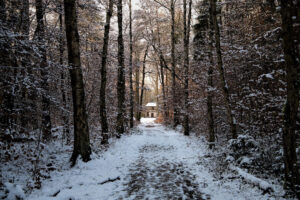 Lange-Thomas_DSC_9100