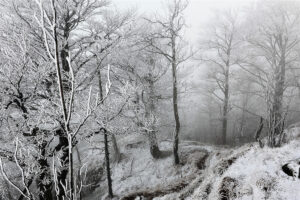 Lange-Thomas_DSC_9742