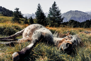 Jens Gutberlet (Zella-Mehlis): Tiefenentspannung - Anerkennung