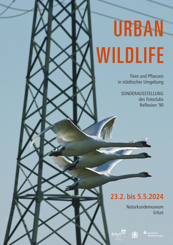 Plakat Urban Wildlife