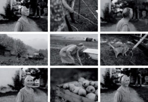 Anja Keller (Schwarzburg): Erntezeit (Serie) | Preis