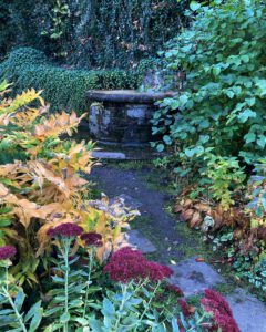 Foto: Henryk Bies (Leipzig)