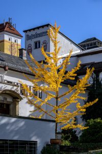 Foto: Karsten Hoerenz (Waltershausen)